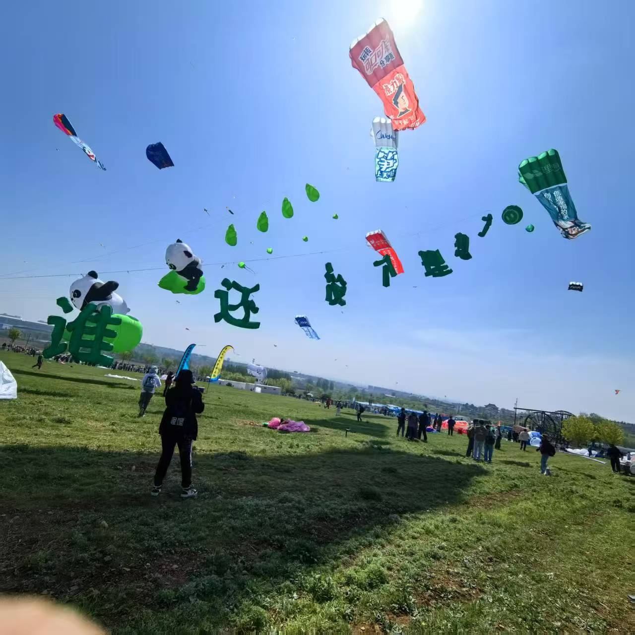 黄山市品牌风筝定制风筝定制 - 推荐